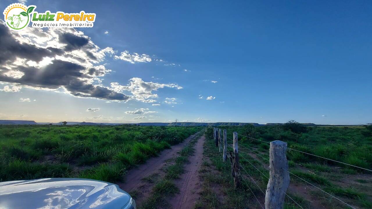 Terreno à venda, 65000000m² - Foto 14