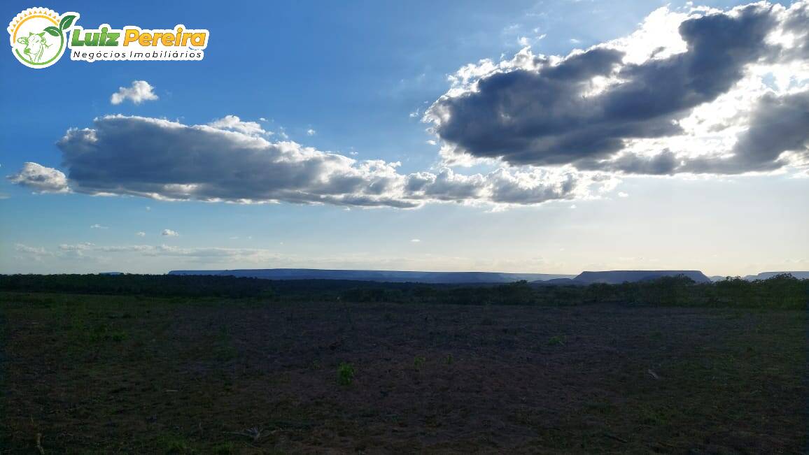 Terreno à venda, 65000000m² - Foto 16