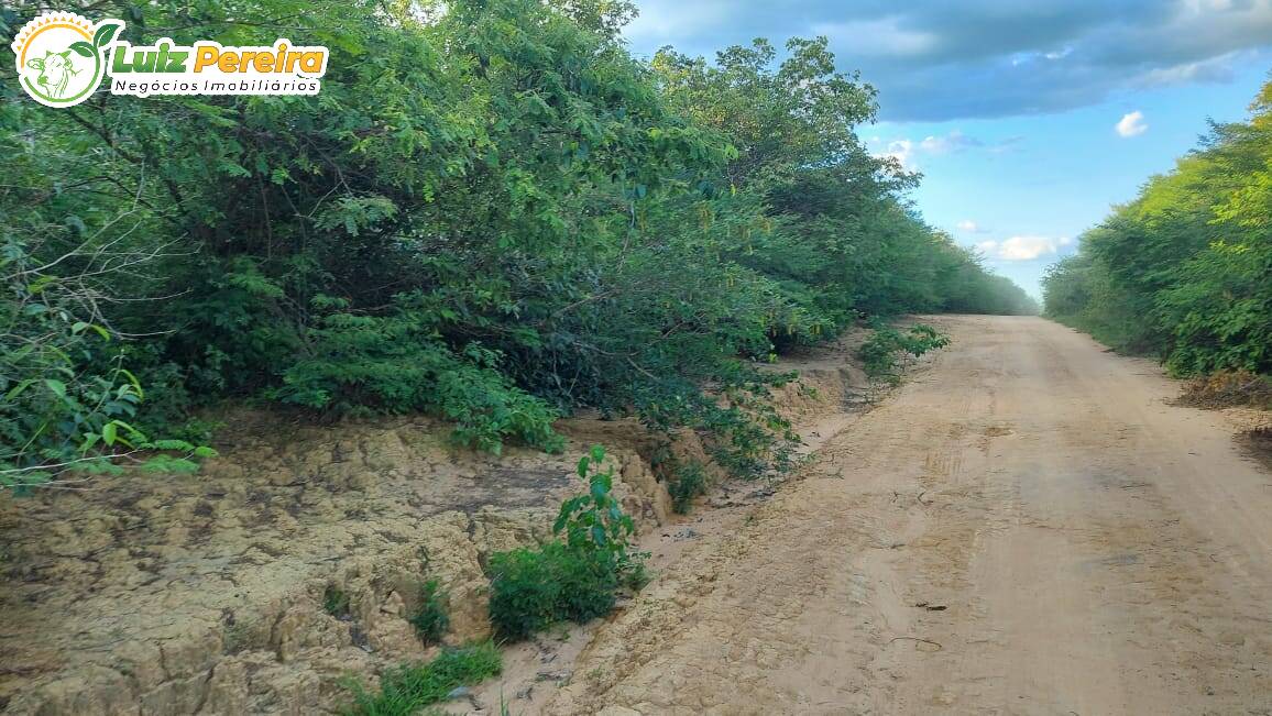 Terreno à venda, 65000000m² - Foto 20