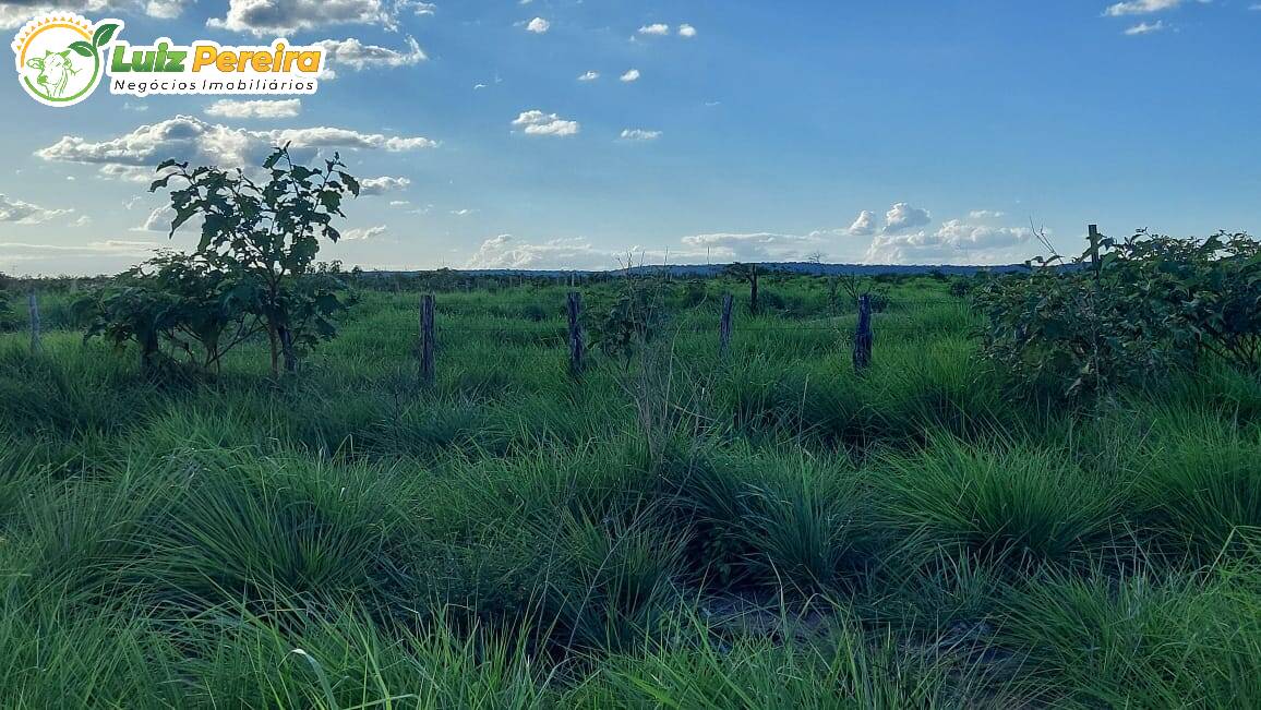 Terreno à venda, 65000000m² - Foto 23
