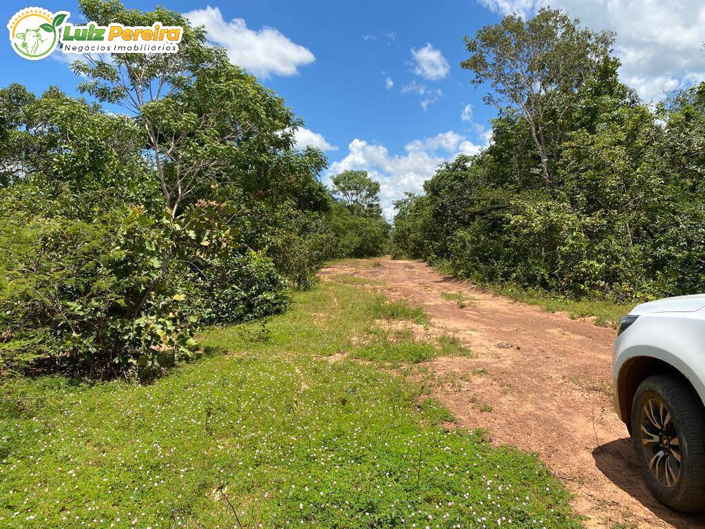 Terreno à venda, 65000000m² - Foto 32