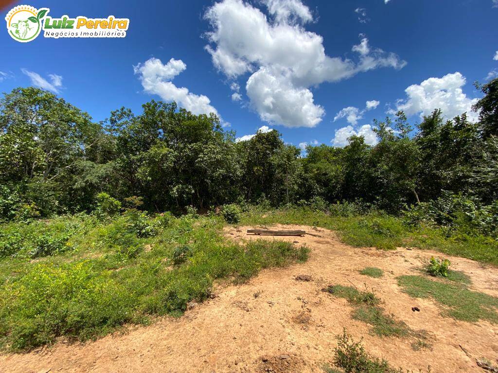 Terreno à venda, 65000000m² - Foto 36
