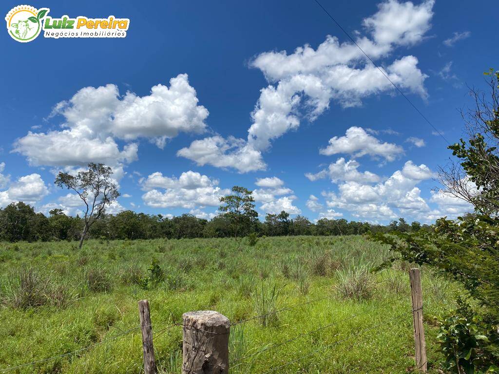 Terreno à venda, 65000000m² - Foto 39