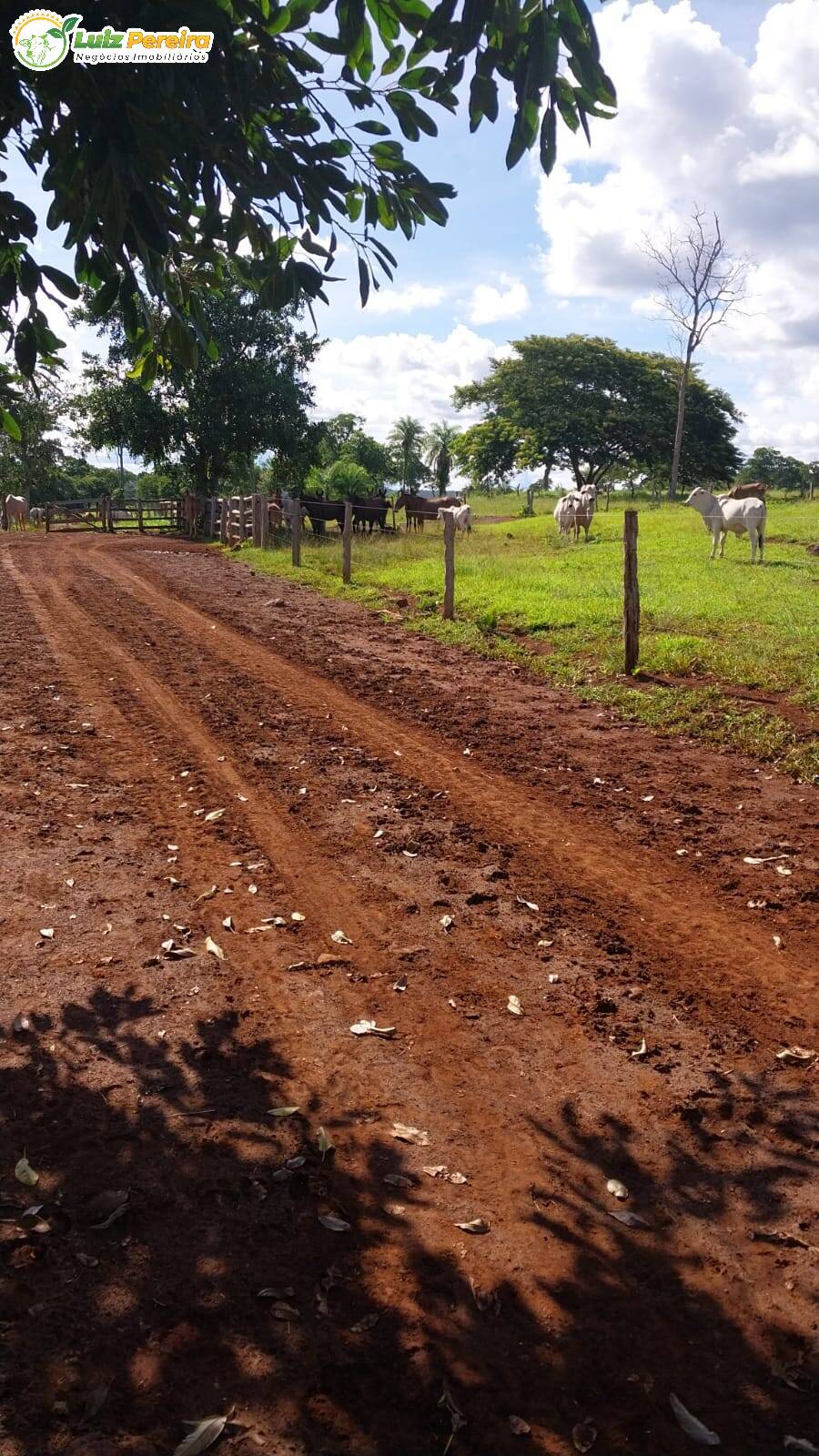 Terreno à venda, 68700000m² - Foto 12