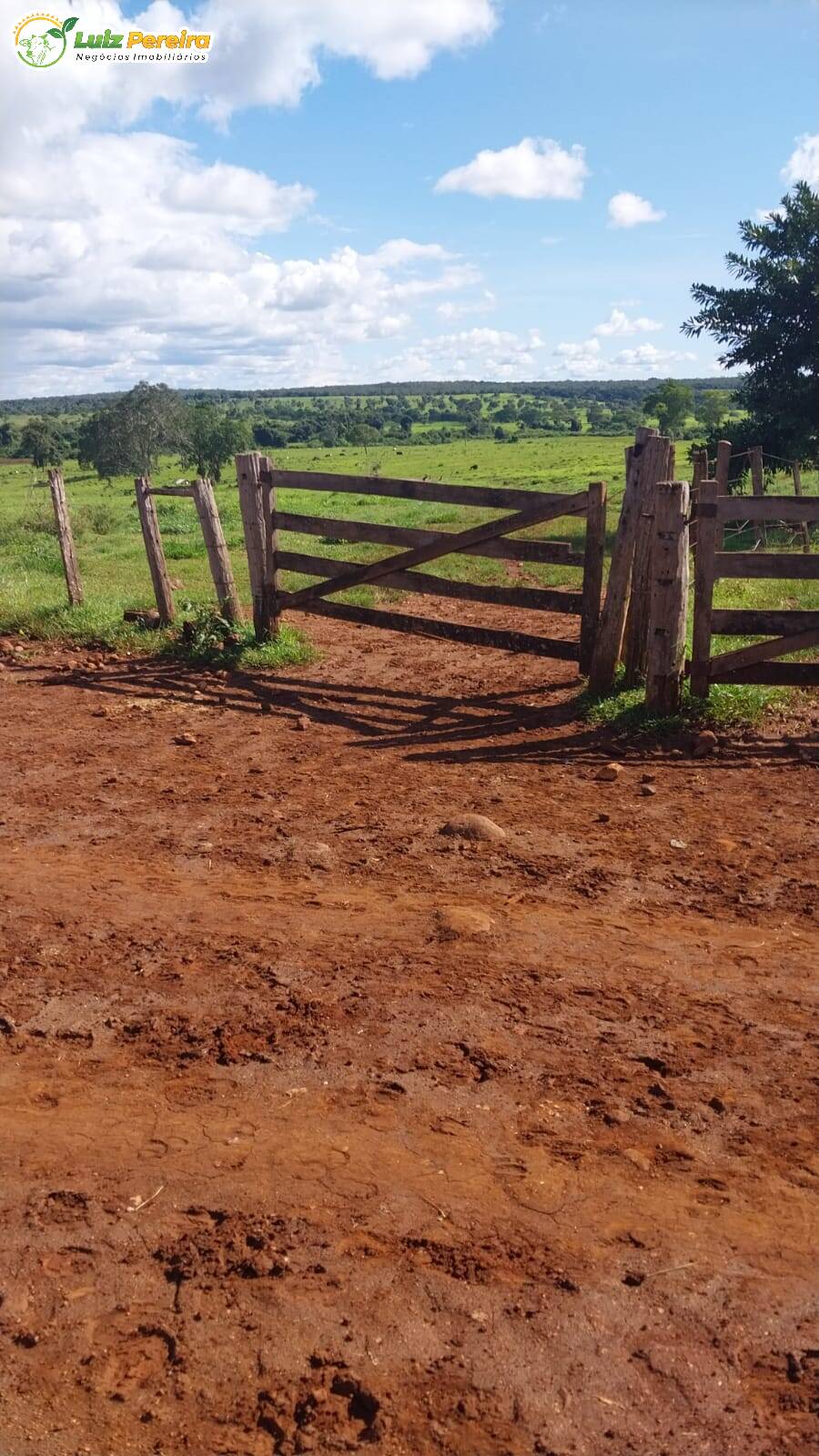 Terreno à venda, 68700000m² - Foto 5