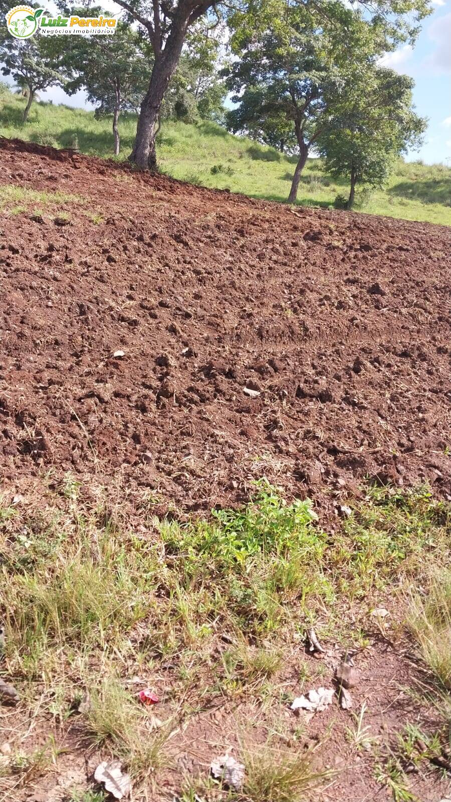 Terreno à venda, 68700000m² - Foto 10