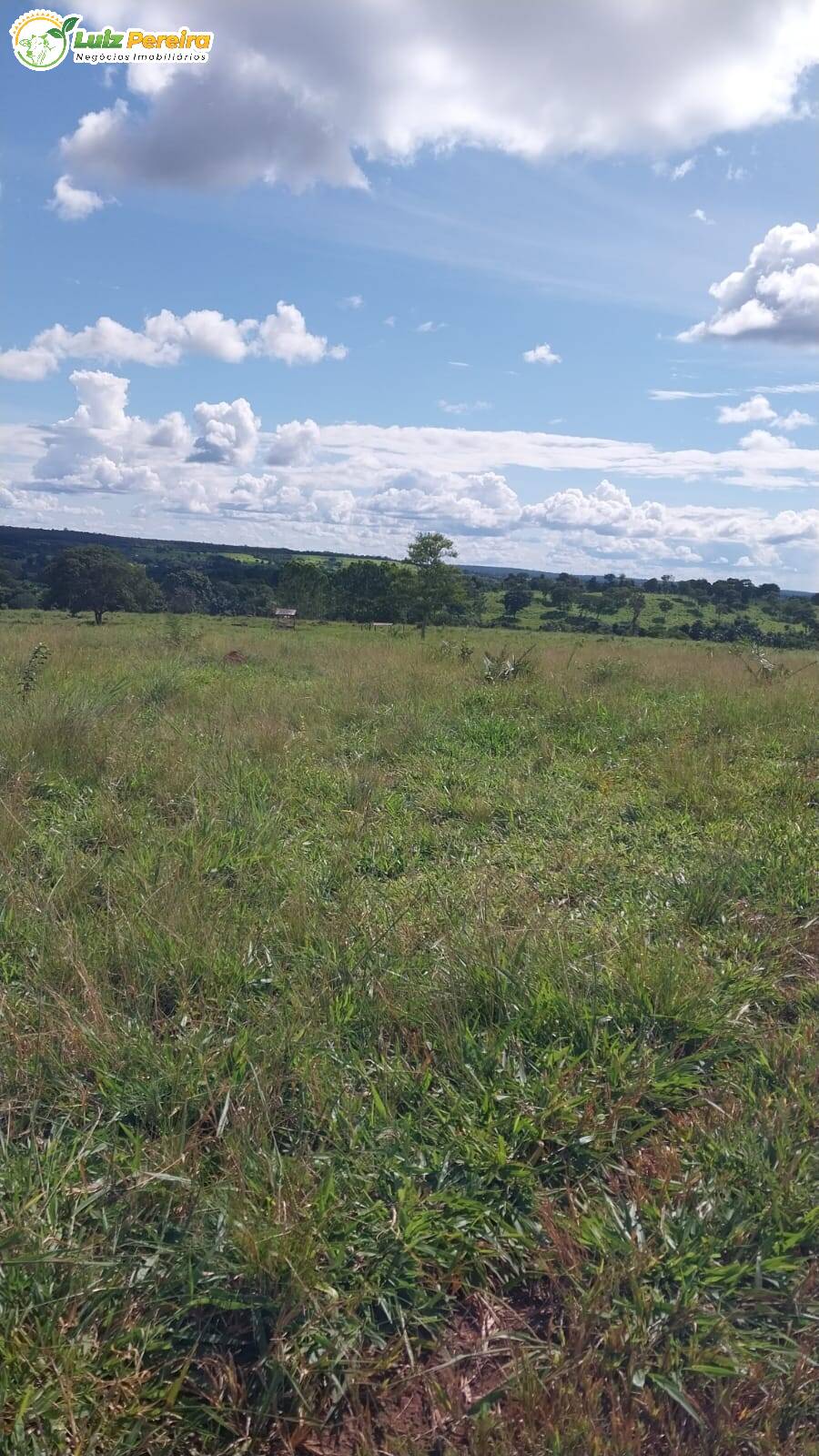 Terreno à venda, 68700000m² - Foto 3