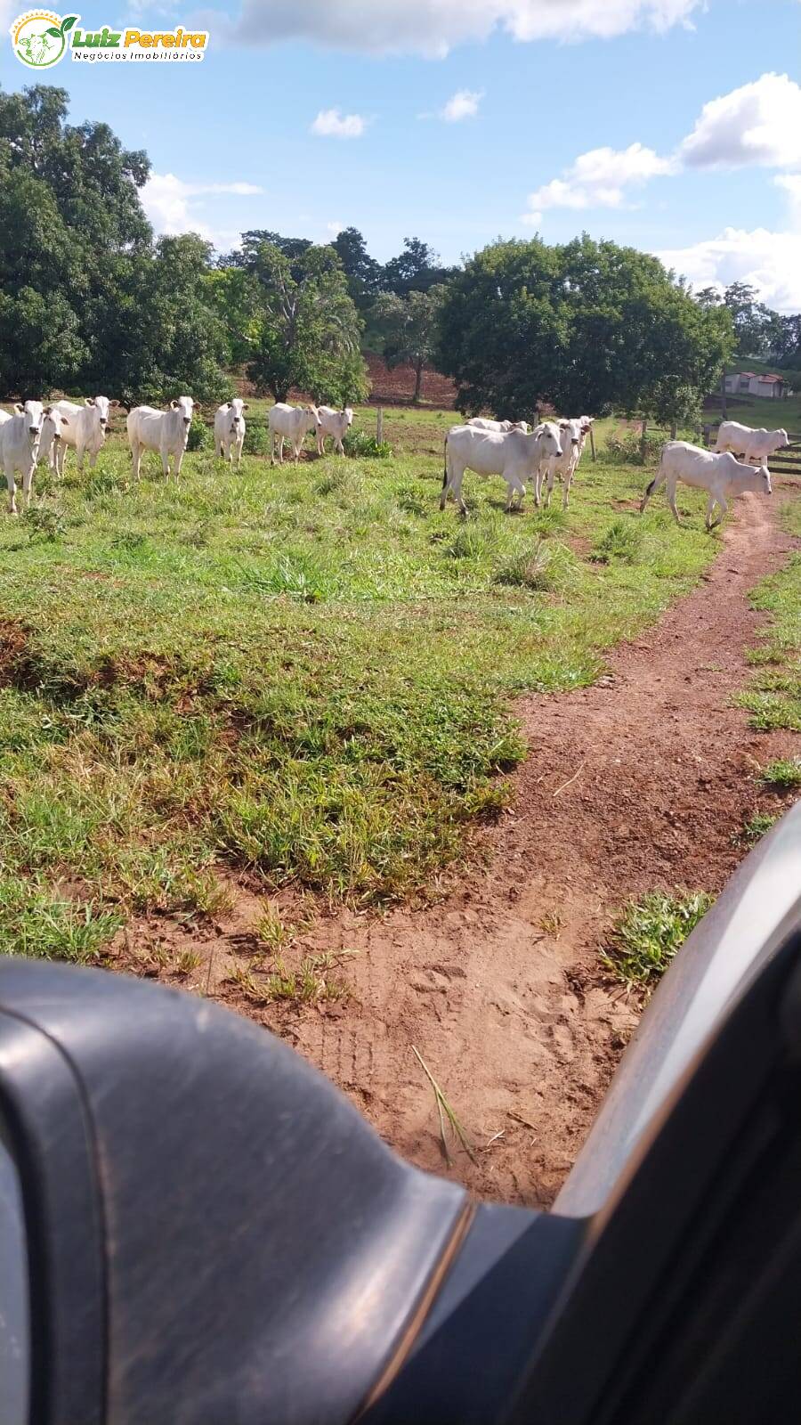 Terreno à venda, 68700000m² - Foto 11