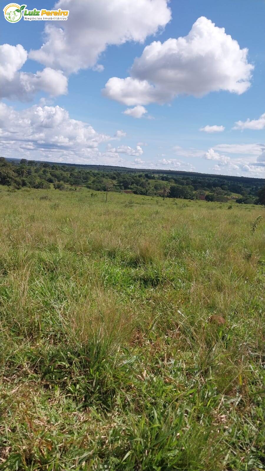 Terreno à venda, 68700000m² - Foto 4