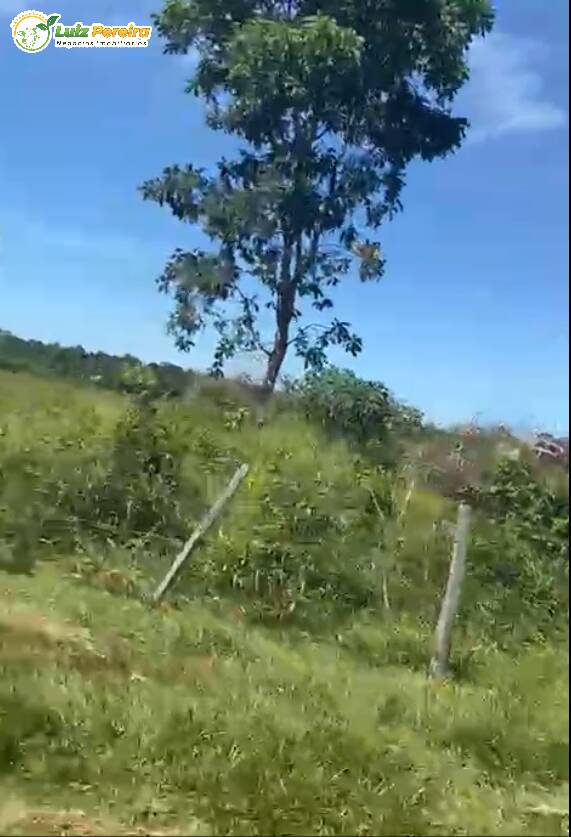 Terreno à venda, 3800000m² - Foto 5