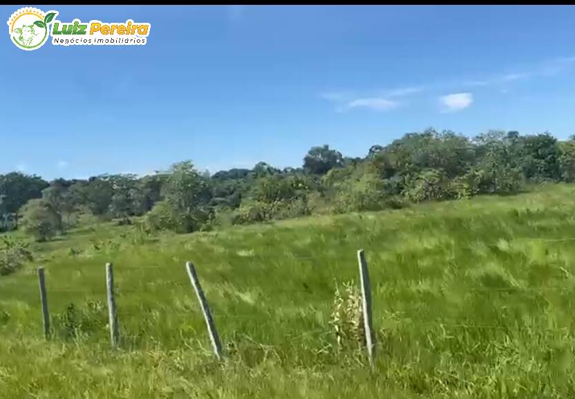 Terreno à venda, 3800000m² - Foto 4