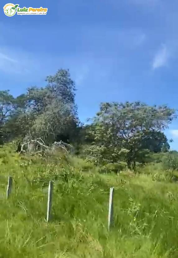 Terreno à venda, 3800000m² - Foto 8