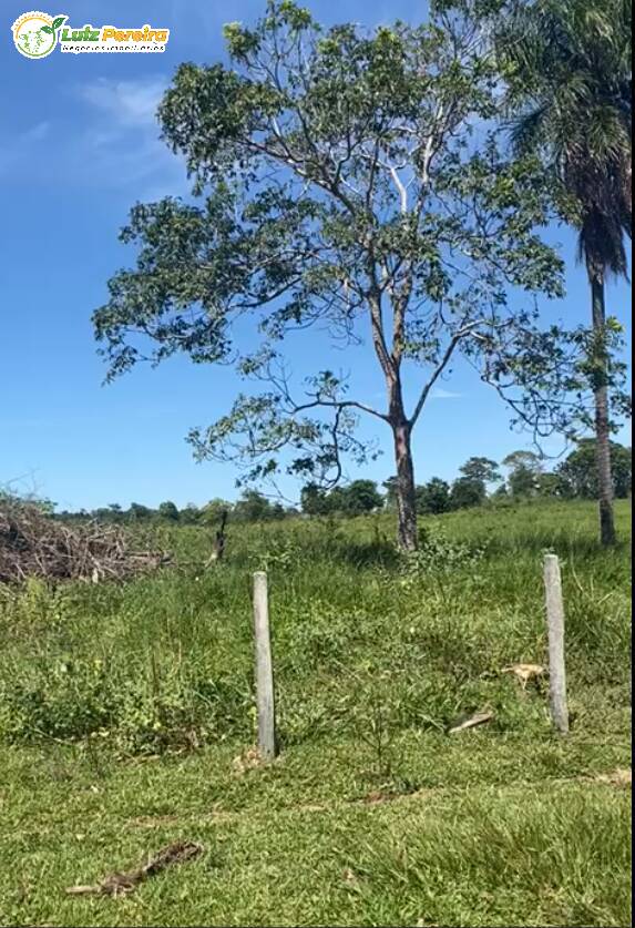 Terreno à venda, 3800000m² - Foto 9