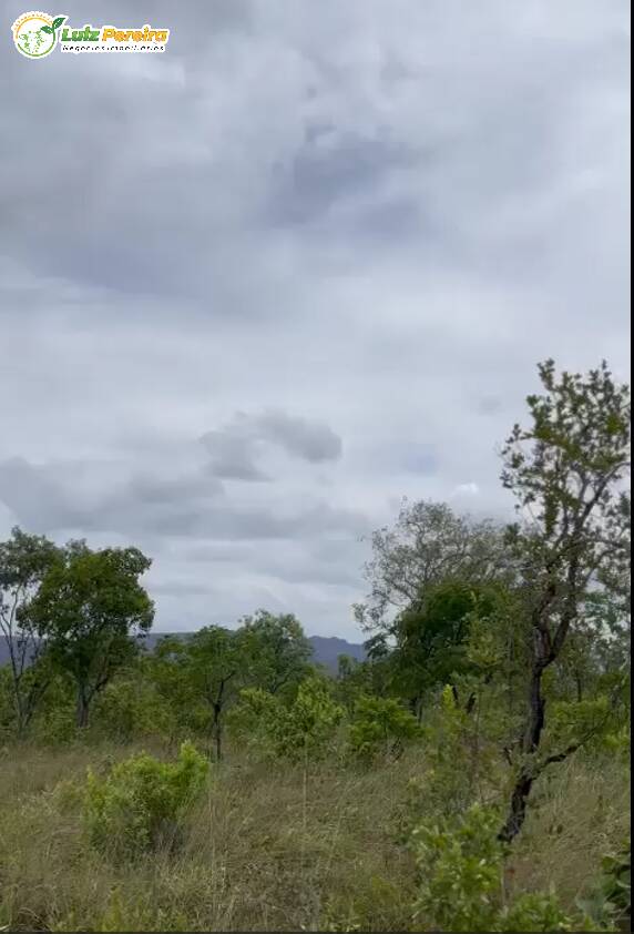 Terreno à venda, 3800000m² - Foto 10