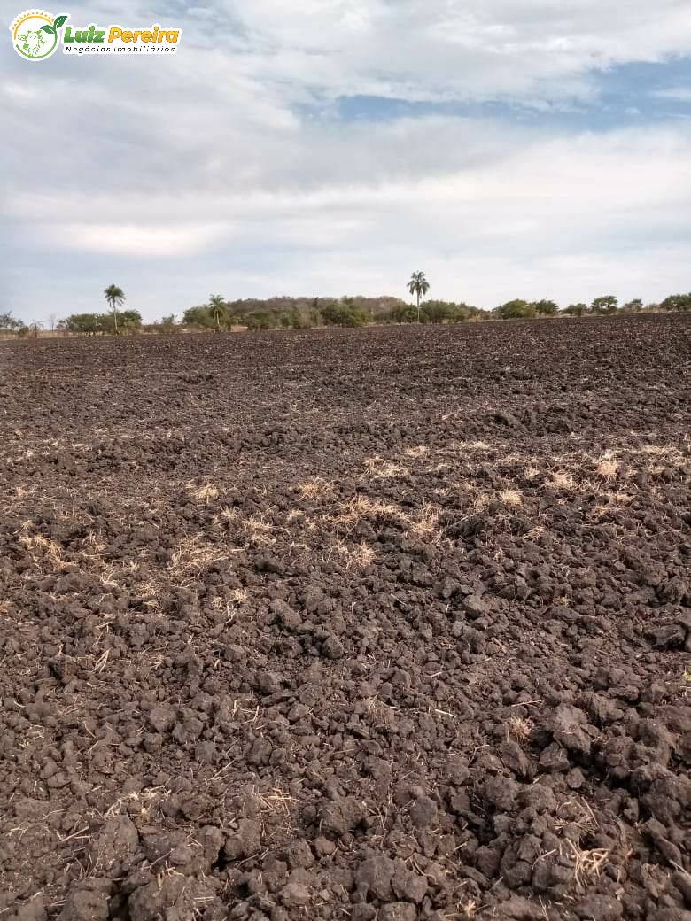 Terreno à venda, 18000000m² - Foto 9