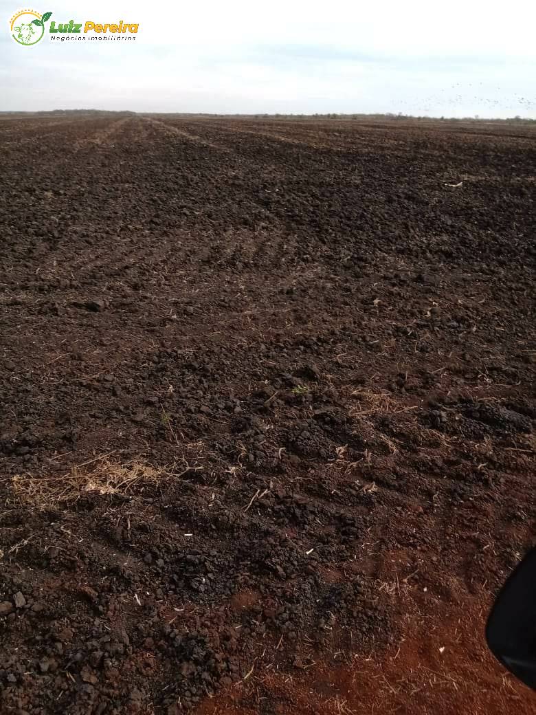 Terreno à venda, 18000000m² - Foto 15