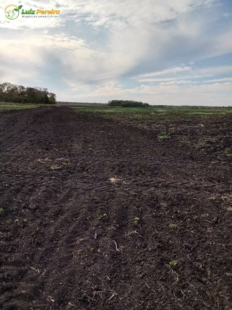 Terreno à venda, 18000000m² - Foto 16