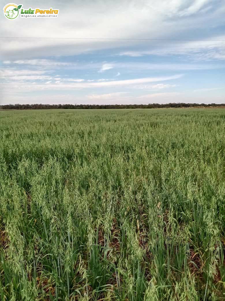 Terreno à venda, 18000000m² - Foto 4