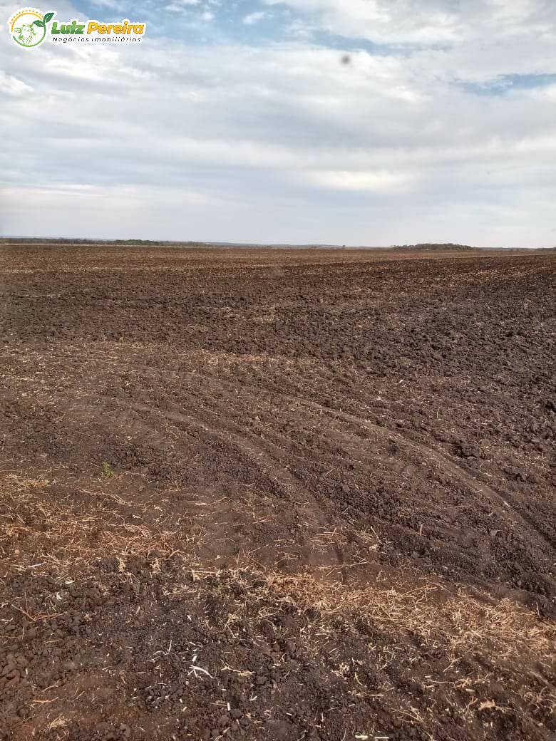 Terreno à venda, 18000000m² - Foto 10