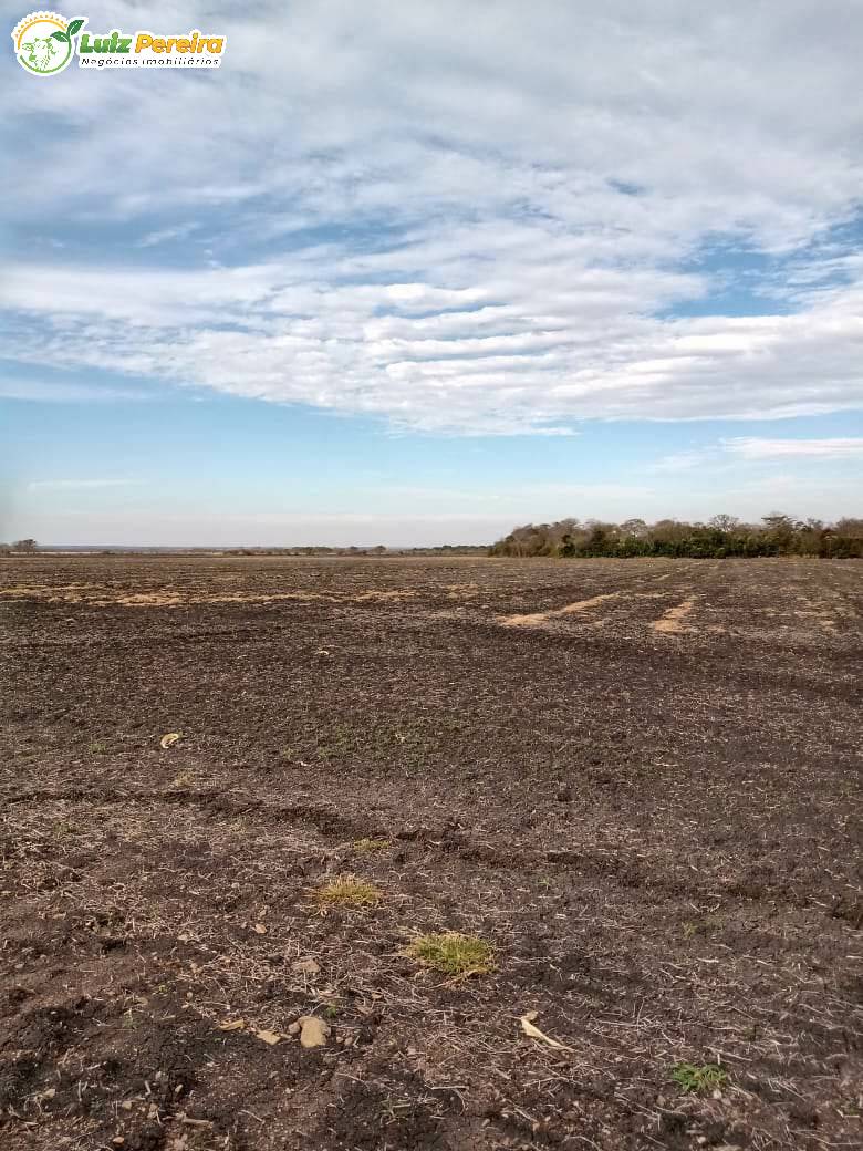 Terreno à venda, 18000000m² - Foto 12