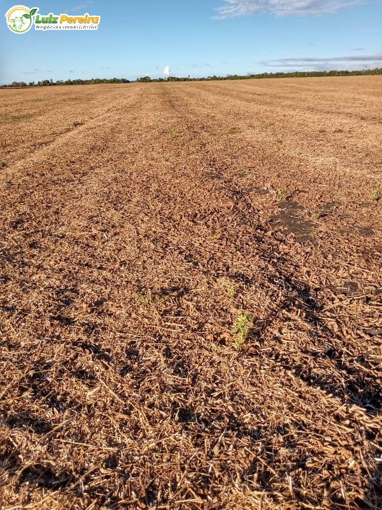 Terreno à venda, 18000000m² - Foto 14