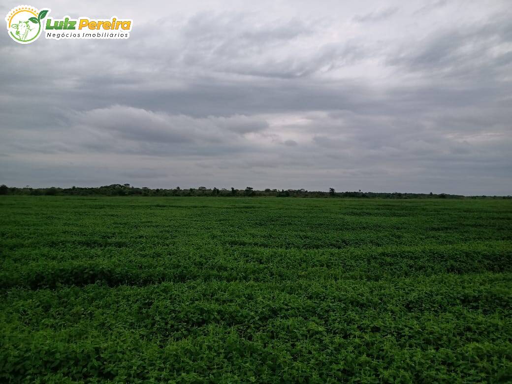 Terreno à venda, 18000000m² - Foto 1