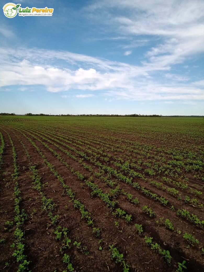 Terreno à venda, 18000000m² - Foto 6