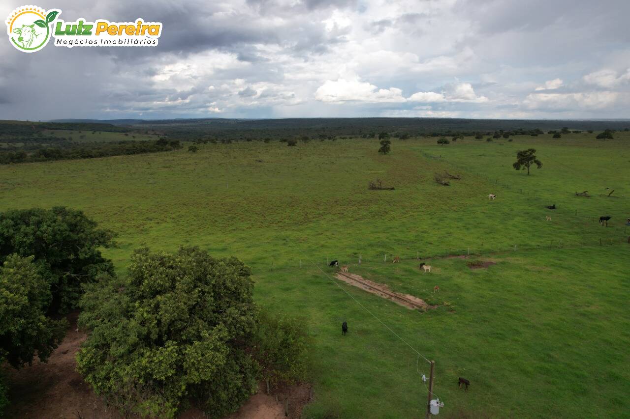 Terreno à venda, 4000000m² - Foto 4
