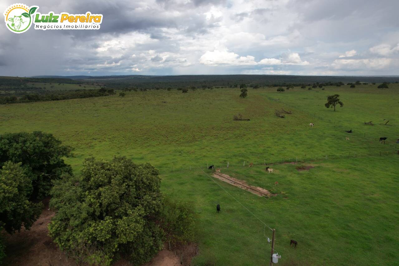 Fazenda-Sítio-Chácara, 400 hectares - Foto 4