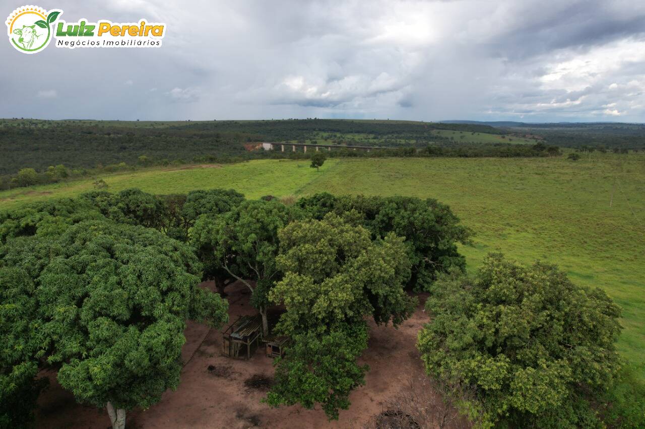 Fazenda-Sítio-Chácara, 400 hectares - Foto 1