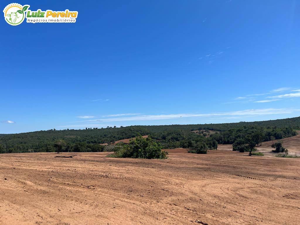 Terreno à venda, 114950000m² - Foto 14