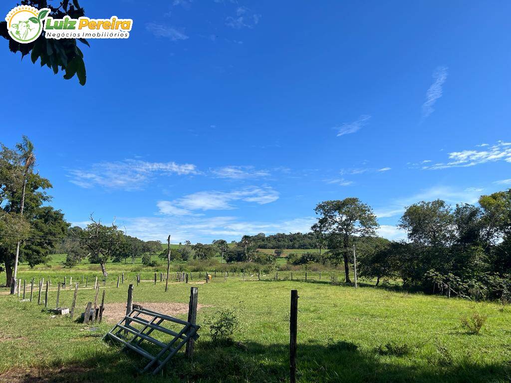 Terreno à venda, 114950000m² - Foto 10