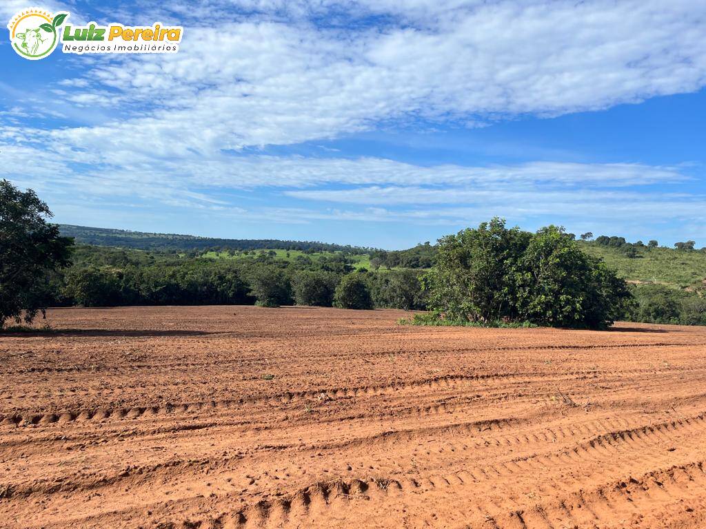 Terreno à venda, 114950000m² - Foto 21