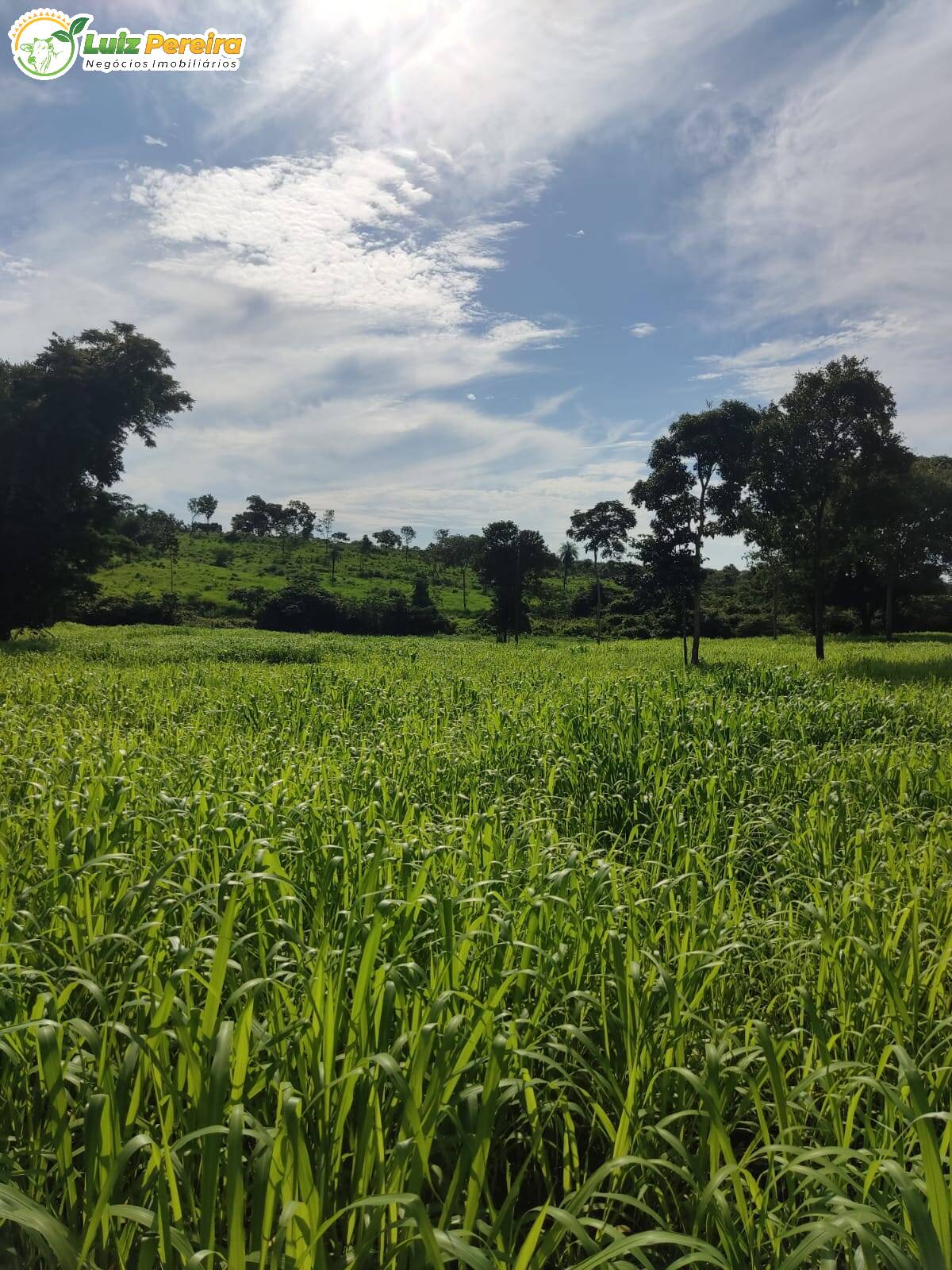 Terreno à venda, 4460000m² - Foto 1