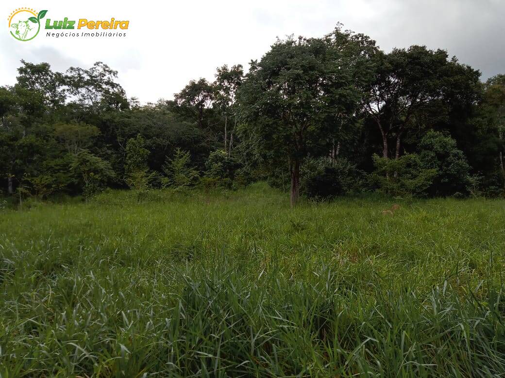 Terreno à venda, 4460000m² - Foto 3