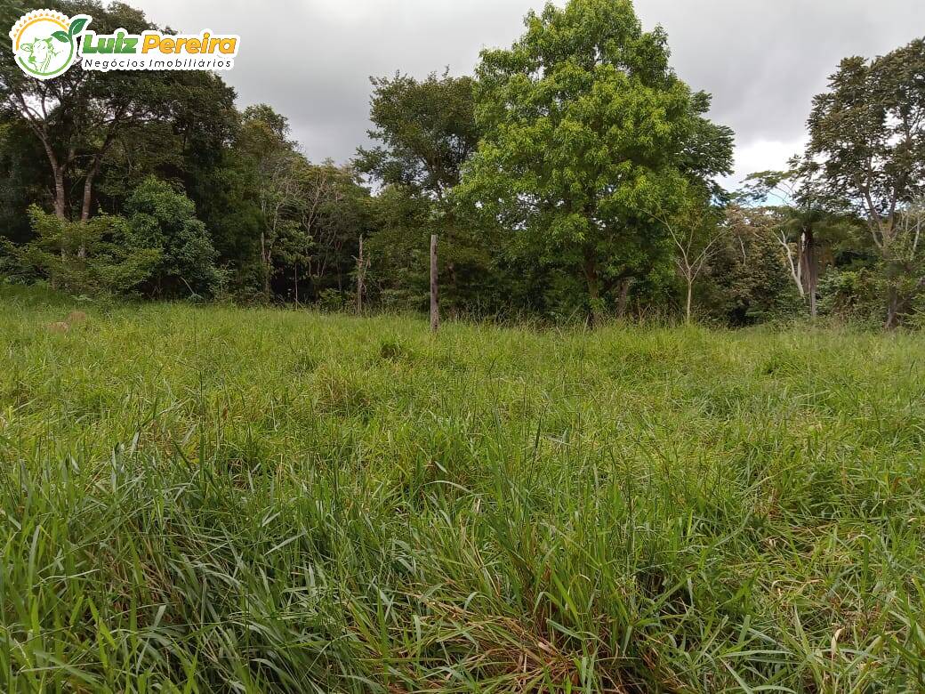 Terreno à venda, 4460000m² - Foto 2