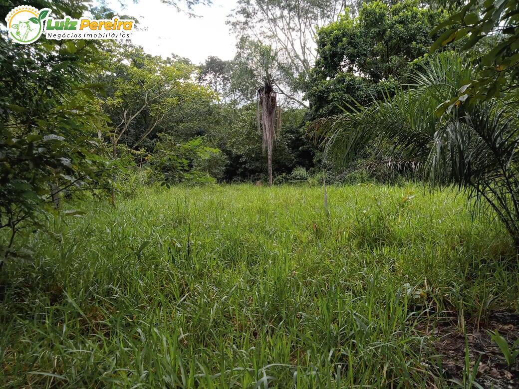 Terreno à venda, 4460000m² - Foto 7