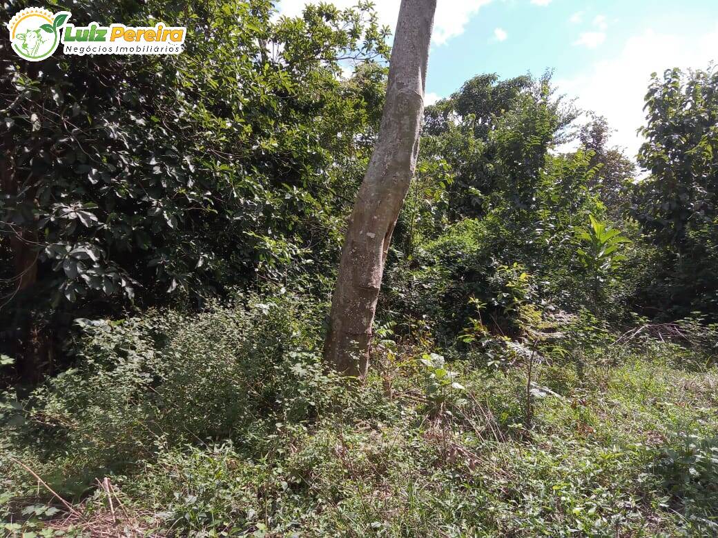 Terreno à venda, 4460000m² - Foto 13