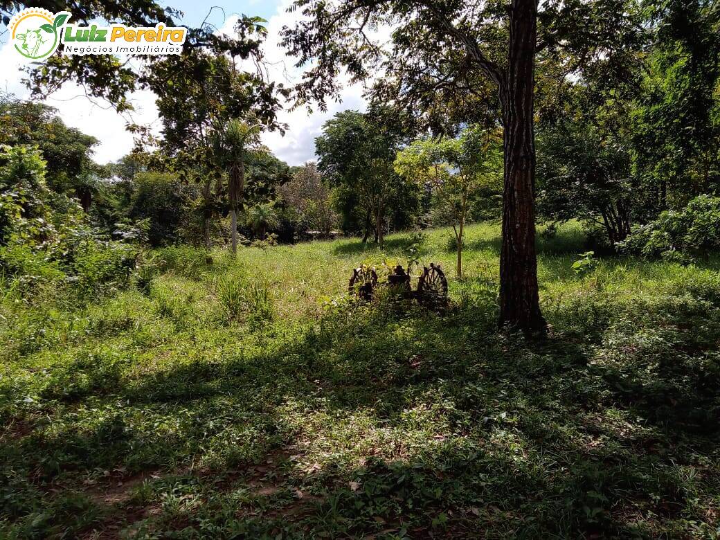 Terreno à venda, 4460000m² - Foto 4