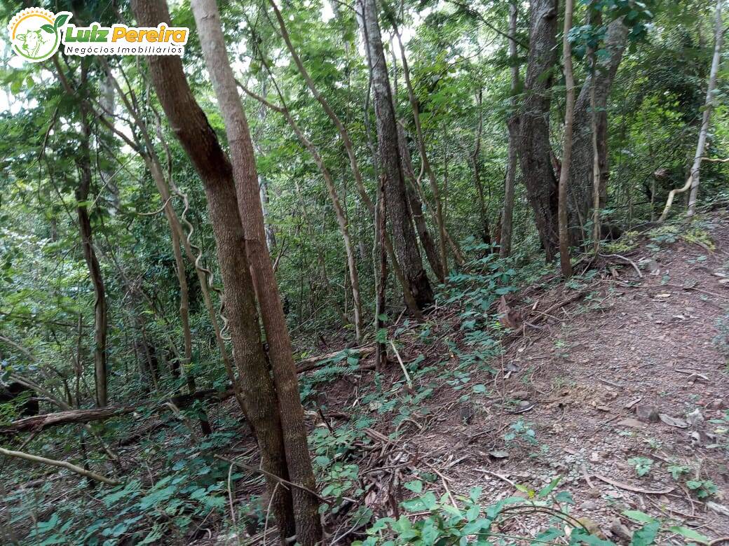 Terreno à venda, 4460000m² - Foto 15