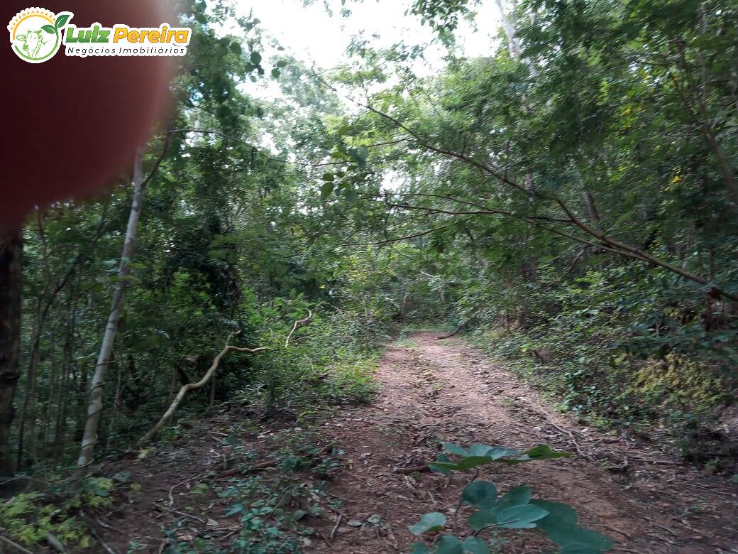 Terreno à venda, 4460000m² - Foto 19