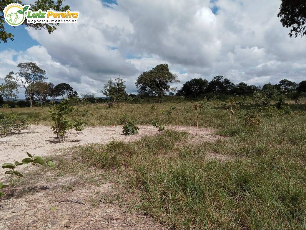 Terreno à venda, 4460000m² - Foto 17
