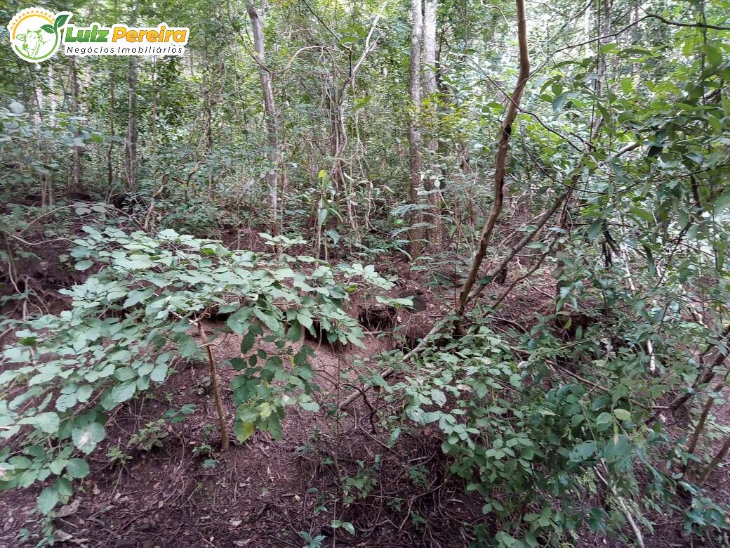 Terreno à venda, 4460000m² - Foto 16