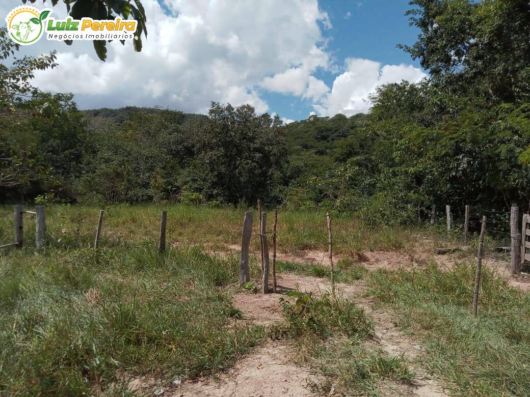 Terreno à venda, 4460000m² - Foto 11