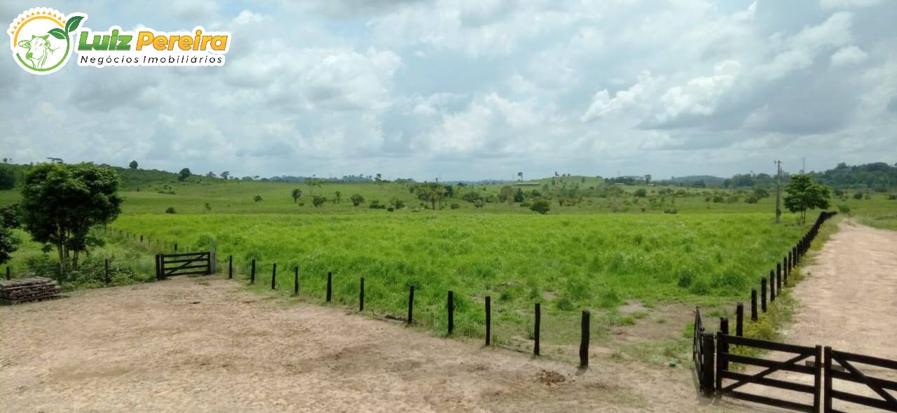 Fazenda-Sítio-Chácara, 479 hectares - Foto 2
