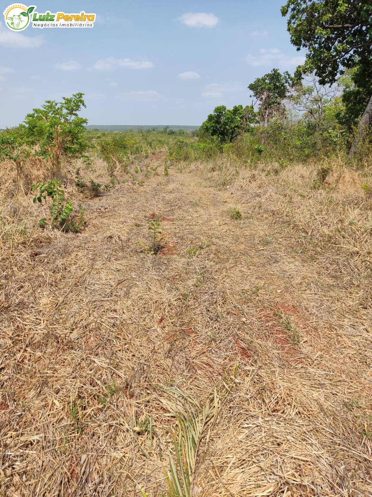 Terreno à venda, 4100000m² - Foto 4