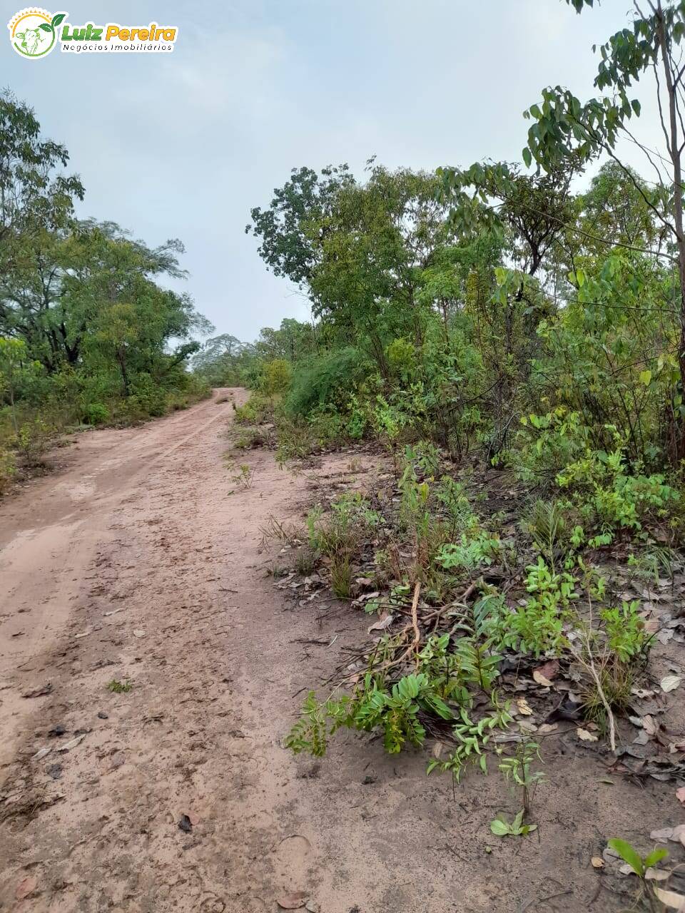 Terreno à venda, 4700000m² - Foto 4