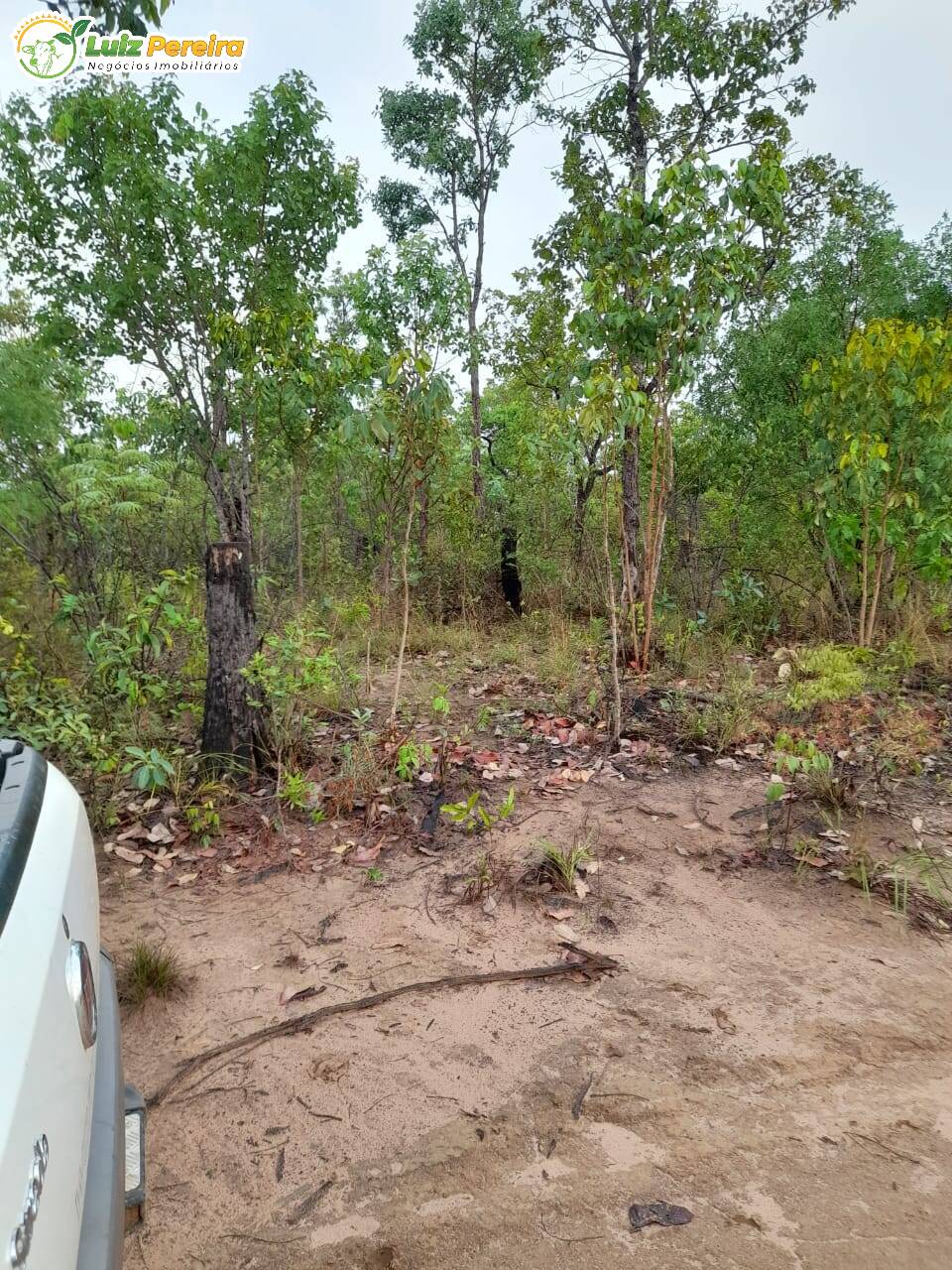 Terreno à venda, 4700000m² - Foto 3