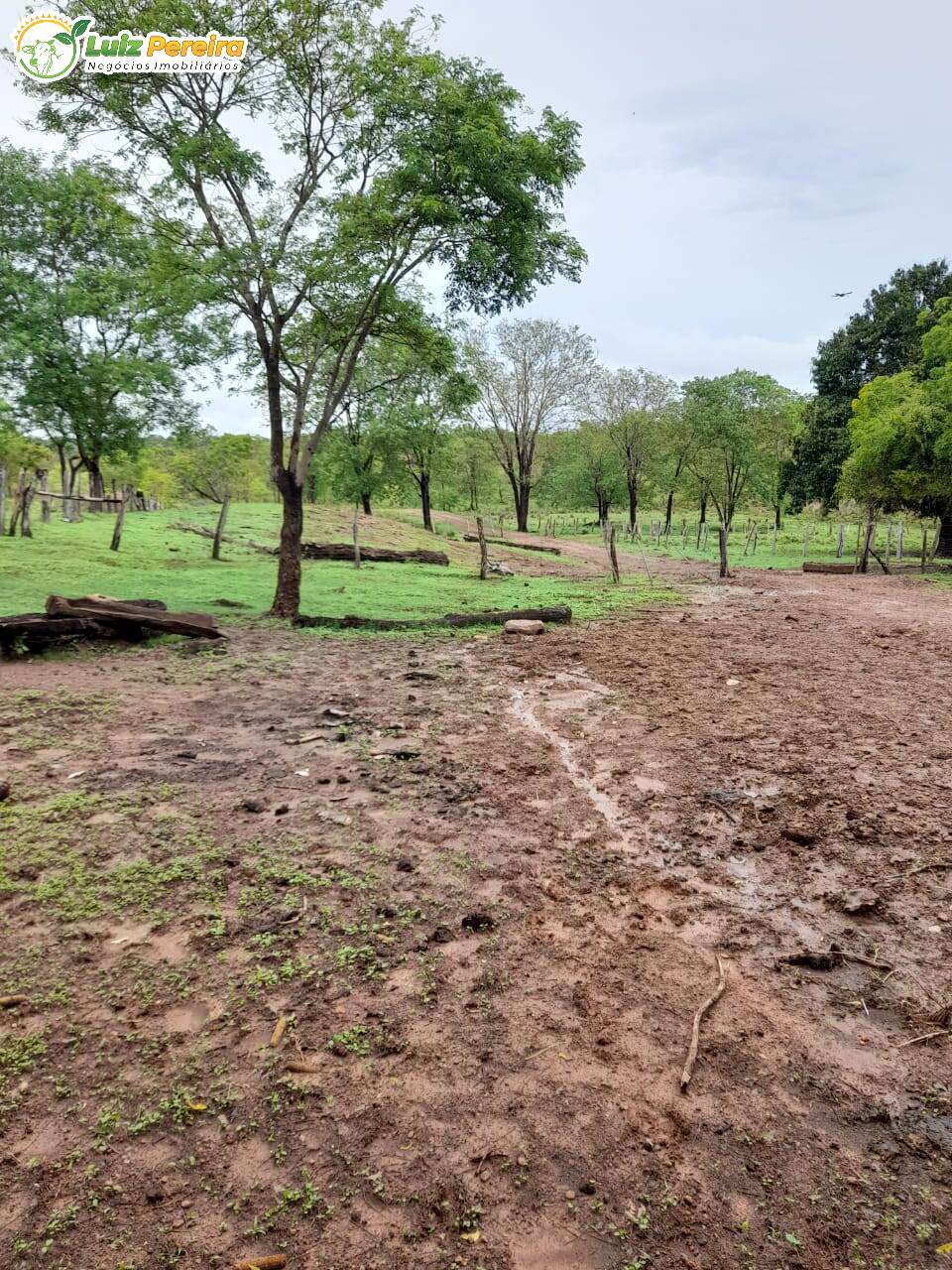 Terreno à venda, 4700000m² - Foto 1