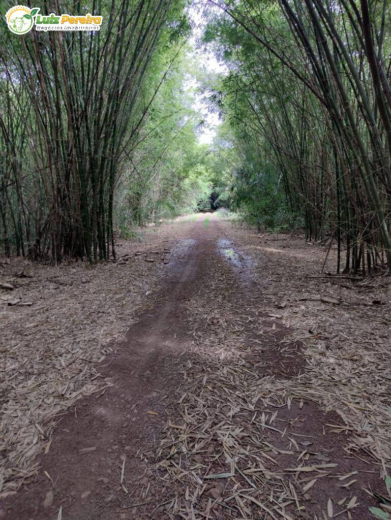 Terreno à venda, 19000m² - Foto 4